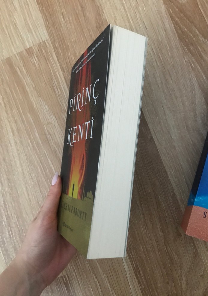 S.A. Chakraborty - Pirinç Kenti ve Pakir Krallığı - Görsel 2