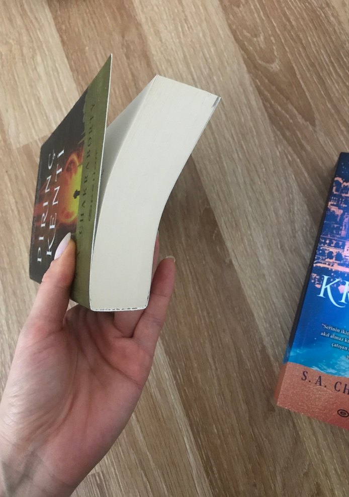 S.A. Chakraborty - Pirinç Kenti ve Pakir Krallığı - Görsel 4