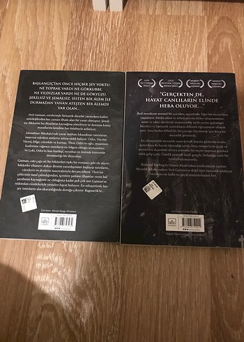 Neil Gaiman'dan 2 Roman: İskandinav Mitolojisi & Mezarın Kitabı - Görsel 2