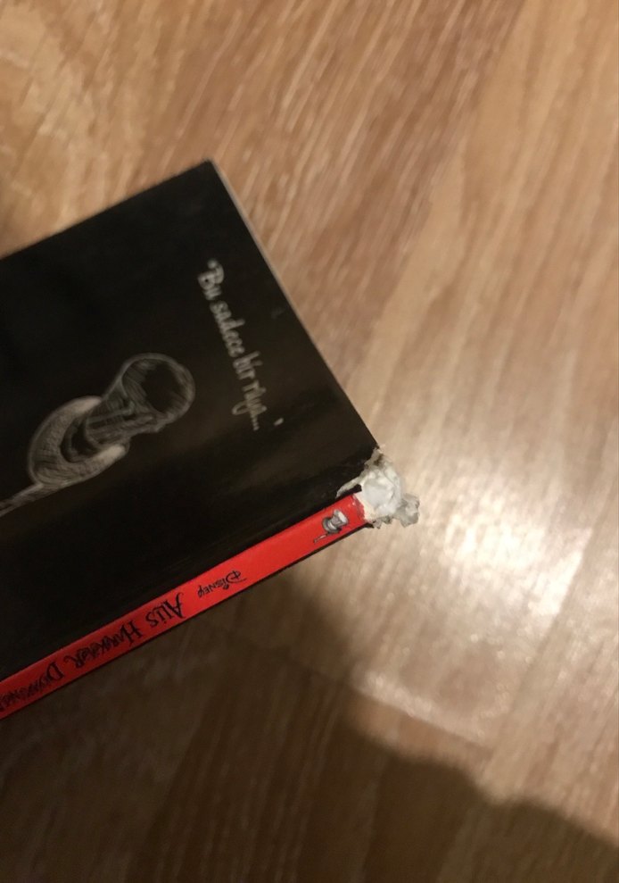 Disney Alis Harikalar Diyarında Çizgi Roman - Görsel 3