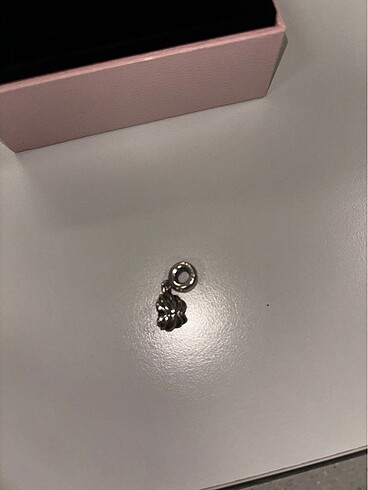 Pandora Pandora charm