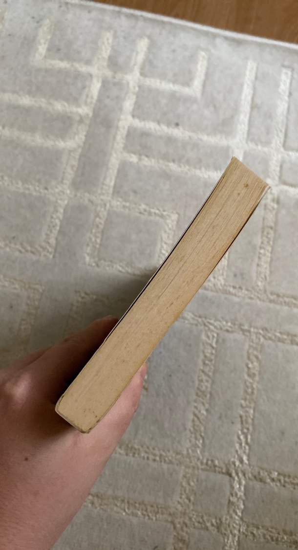 Bize Nasıl Kıydınız? - Emine Şenlikoğlu - Görsel 5