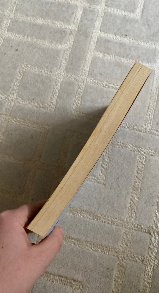 Bize Nasıl Kıydınız? - Emine Şenlikoğlu - Görsel 4