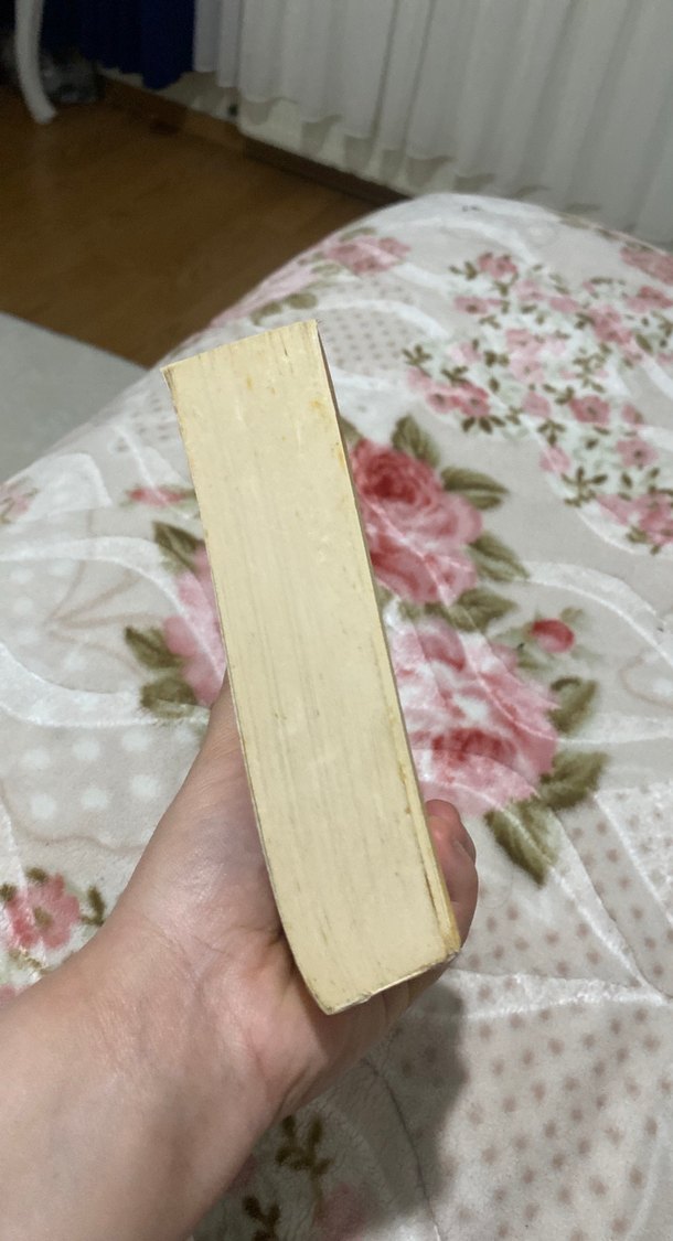 Anılar da Yakılır - Ahmed Günbay Yıldız - Görsel 3