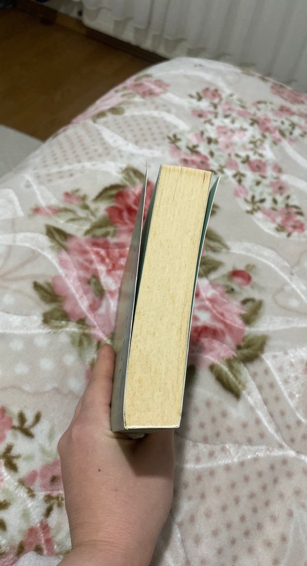 Üç Kız Kardeş - İclal Aydın - Görsel 5