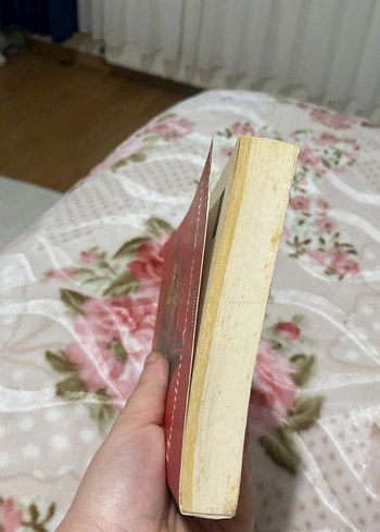 Hayalini Arayan Kadın - Mirza Tazegül - Görsel 4