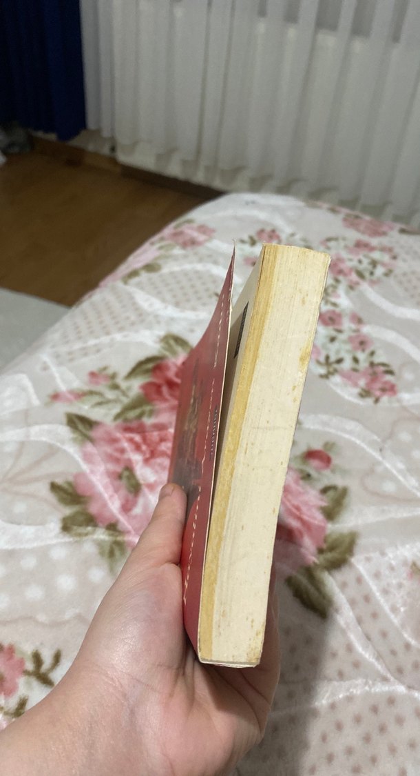 Hayalini Arayan Kadın - Mirza Tazegül - Görsel 4