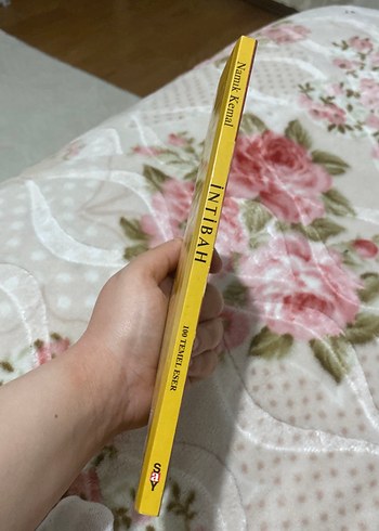 Namik Kemal - İntibah Romanı - Görsel 3