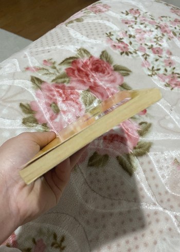 Namik Kemal - İntibah Romanı - Görsel 4