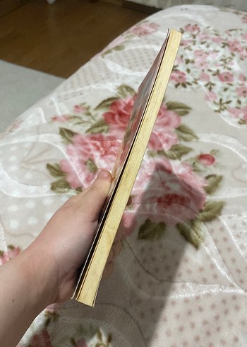 Namik Kemal - İntibah Romanı - Görsel 6