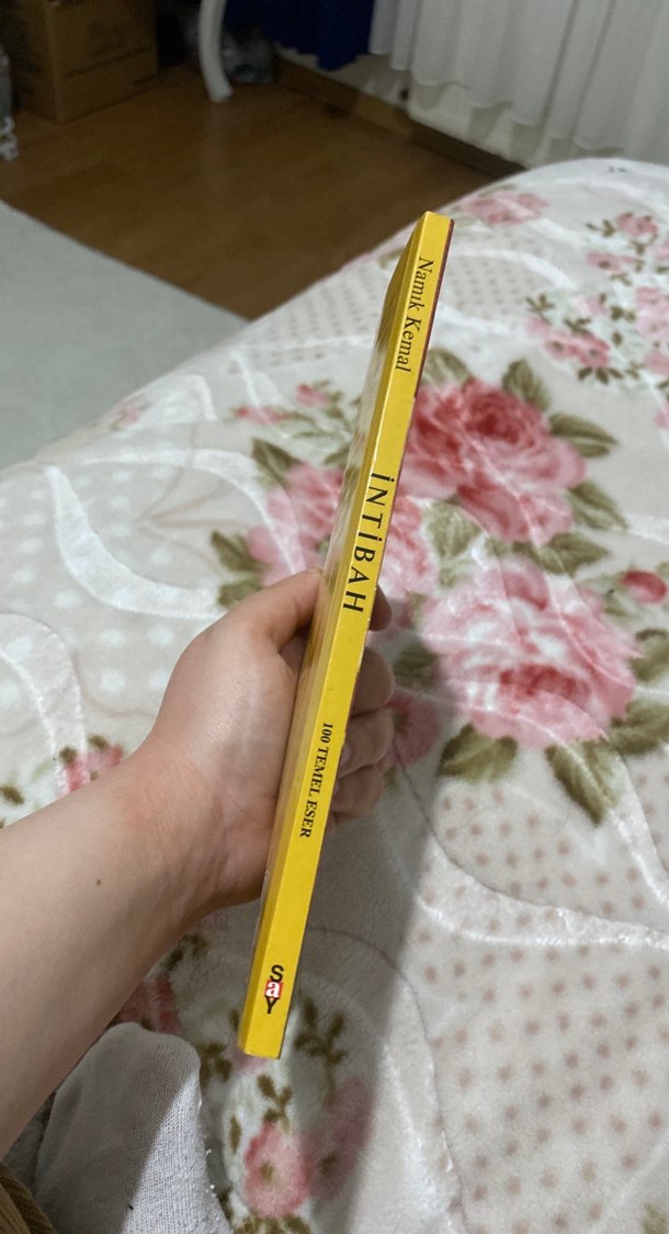 Namik Kemal - İntibah Romanı - Görsel 3