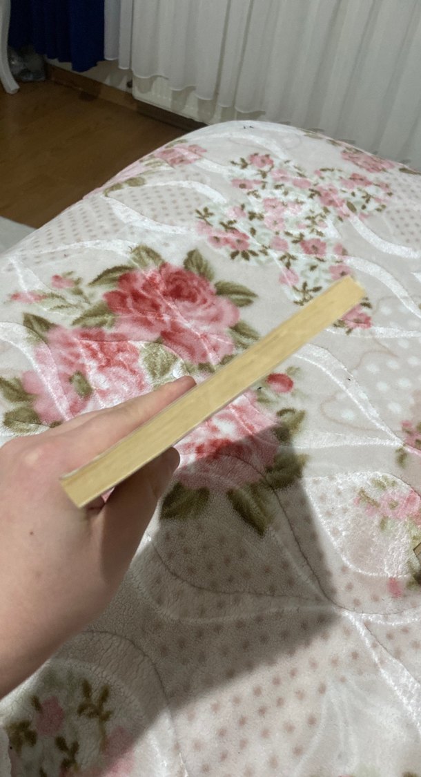 Namik Kemal - İntibah Romanı - Görsel 5