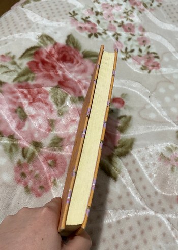 Hayatın Mucizeleri - Stefan Zweig - Görsel 6