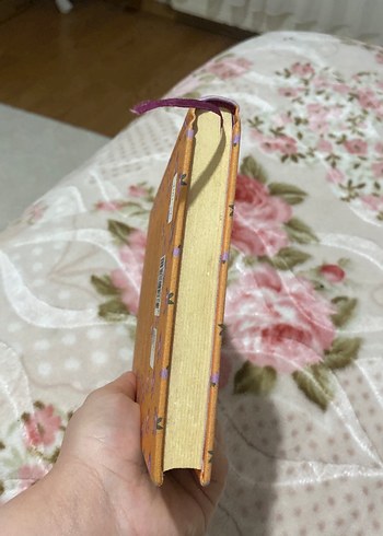 Hayatın Mucizeleri - Stefan Zweig - Görsel 4