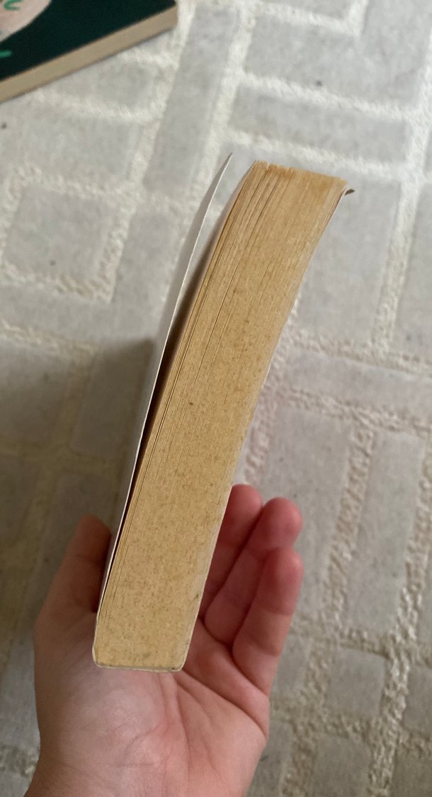 Kırmızı Fener Sokağı - Mehmet Ünver - Görsel 5