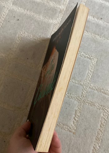 Açıcı Çekirdek - Aylin İşcan Yener - Görsel 4