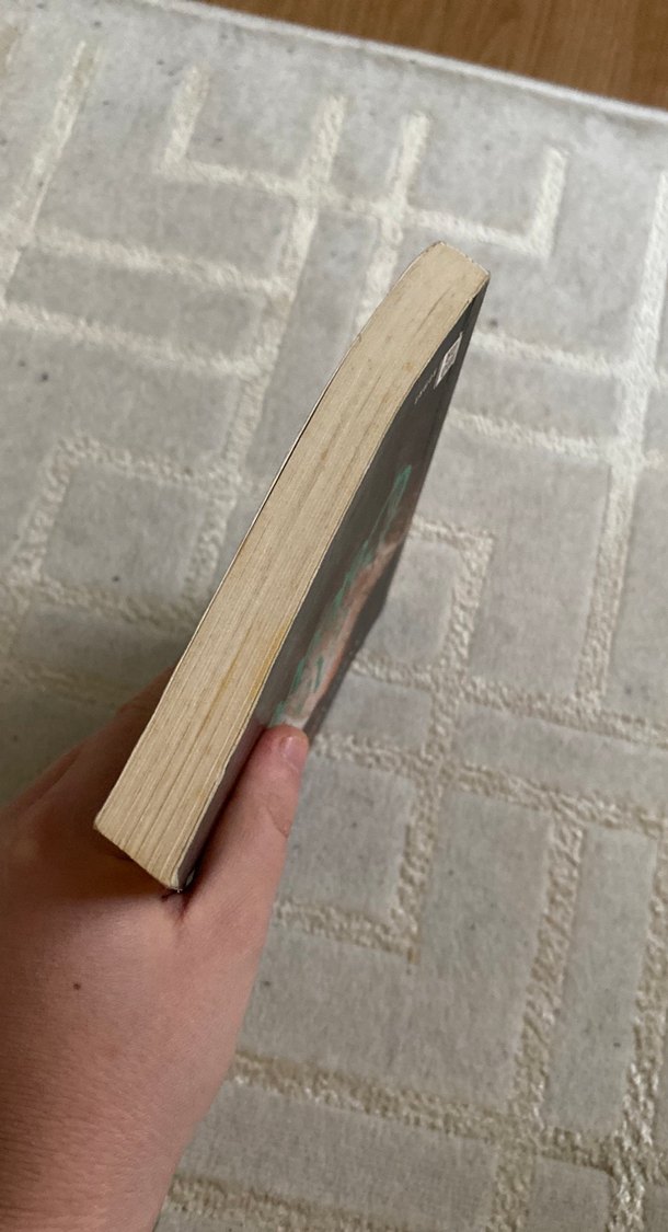 Açıcı Çekirdek - Aylin İşcan Yener - Görsel 5