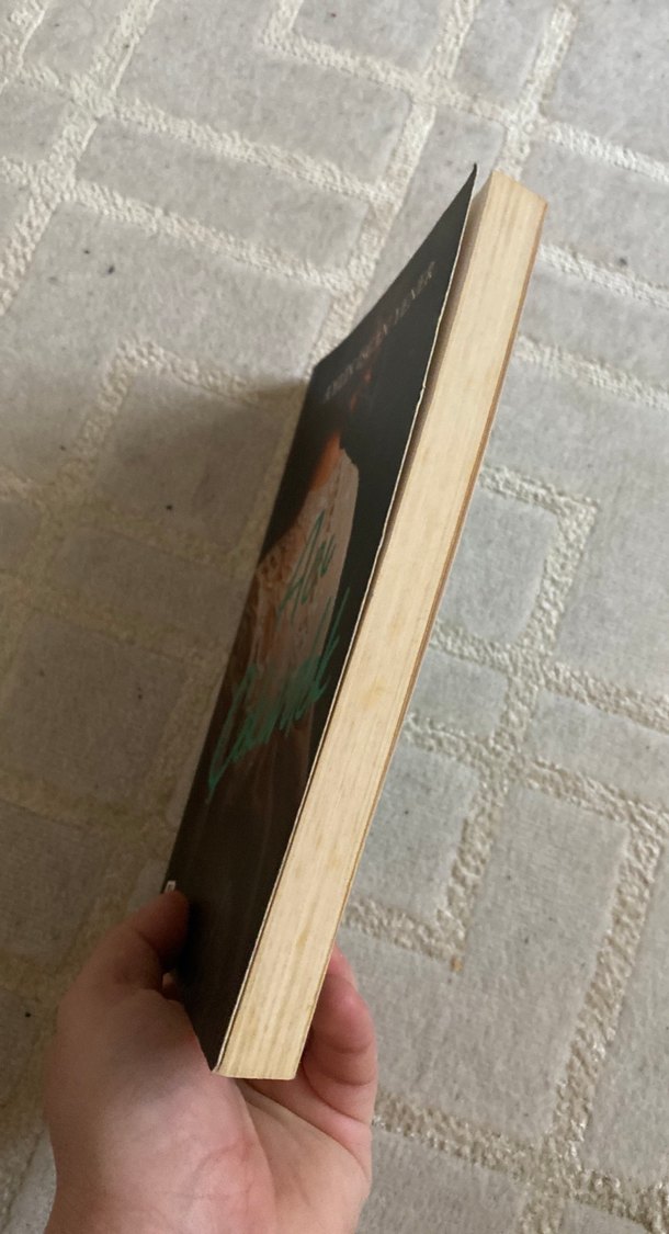 Açıcı Çekirdek - Aylin İşcan Yener - Görsel 4