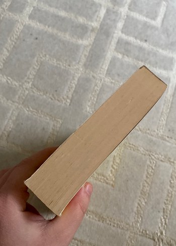 2048 Geleceğe Hazır Mısın? - Emre Sayer - Görsel 5