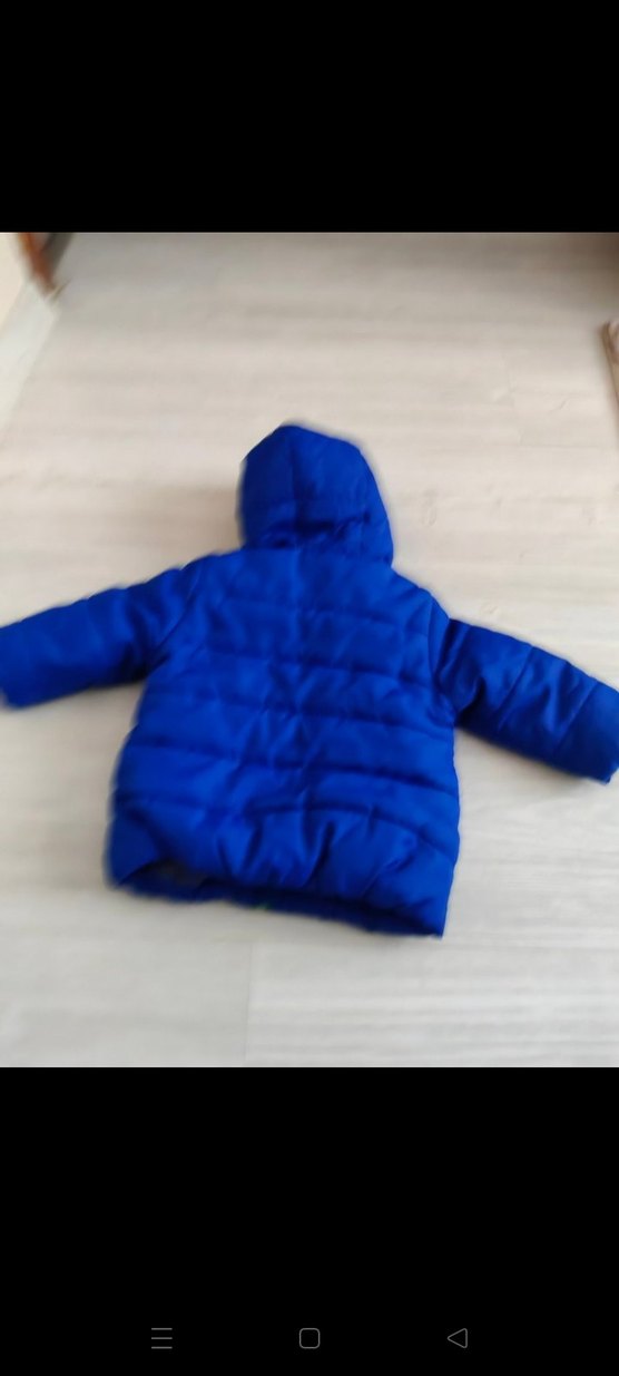 Mavi Kapüşonlu Fermuarlı Erkek Çocuk Mont - Görsel 2