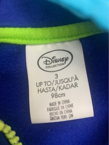 Walt Disney World 24-36 Ay