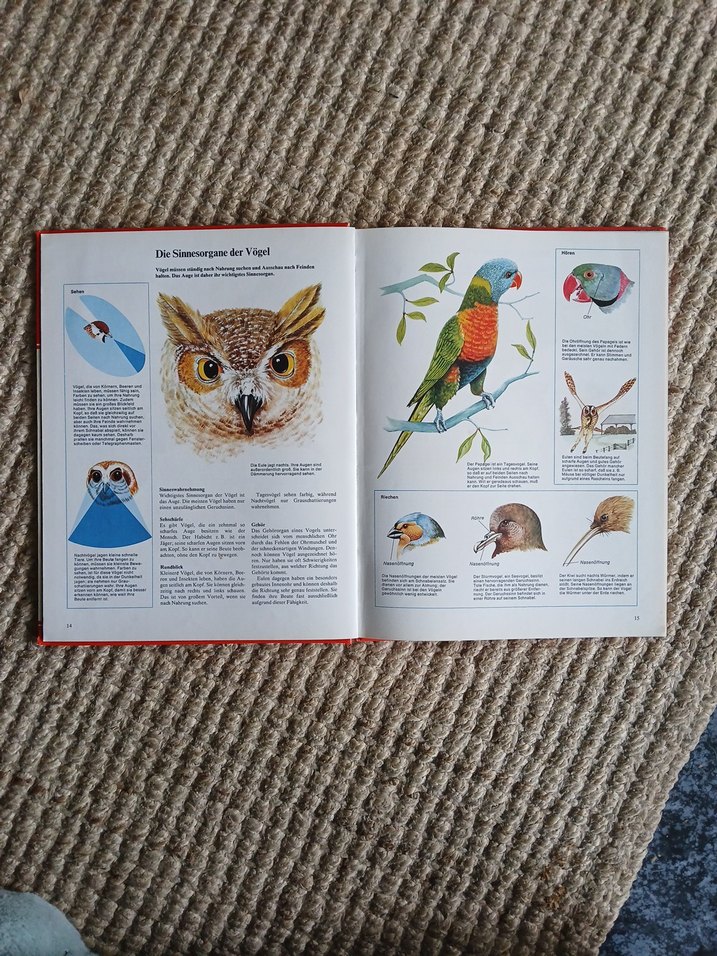Vögel - Maurice Burton Kuşlar Kitabı - Görsel 4
