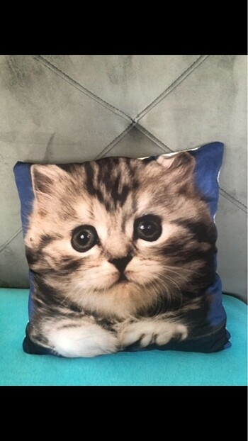 Kedili kırlent