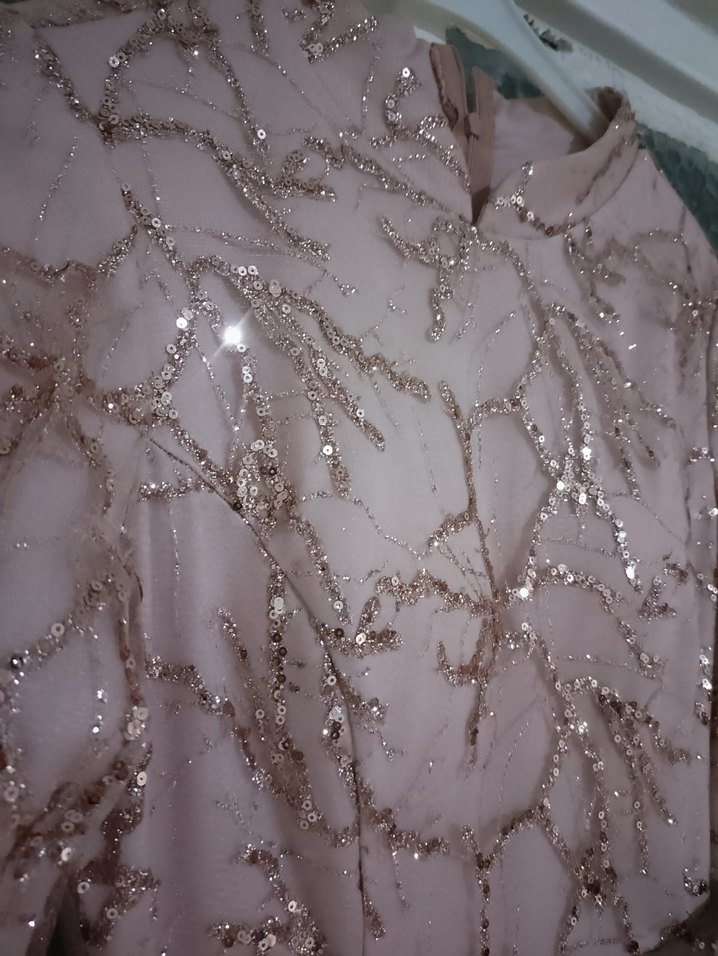 Bej Nakışlı Uzun Vintage Abiye Elbise tesettür abiye - Görsel 2