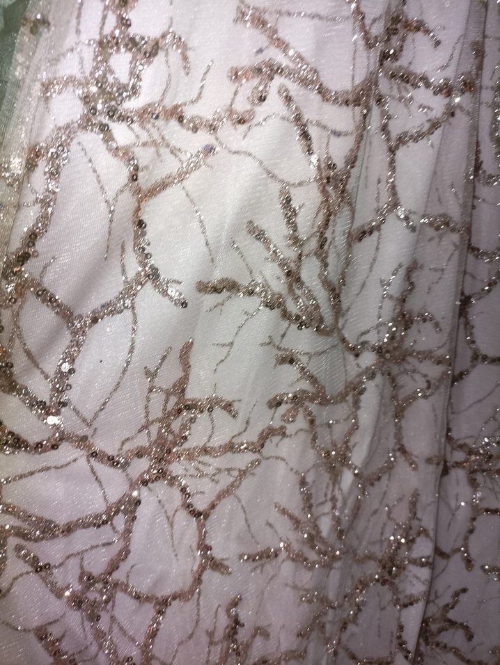 Bej Nakışlı Uzun Vintage Abiye Elbise tesettür abiye - Görsel 4