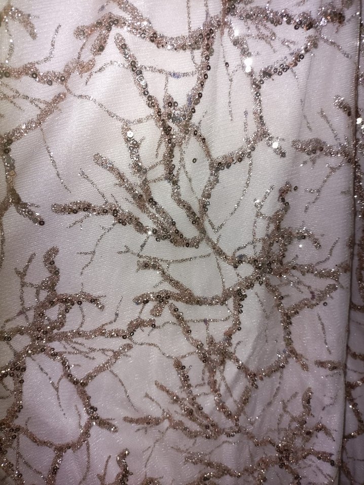 Bej Nakışlı Uzun Vintage Abiye Elbise tesettür abiye - Görsel 3