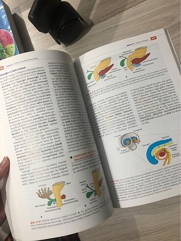  Beden Langman embriyoloji
