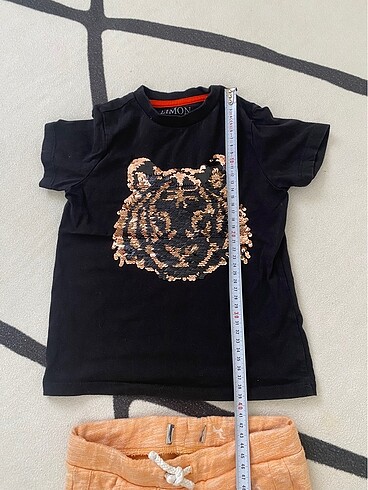 24-36 Ay Beden çeşitli Renk 3 yaş zara / limon company pullu takım