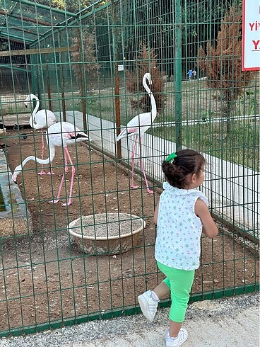 Kız bebek