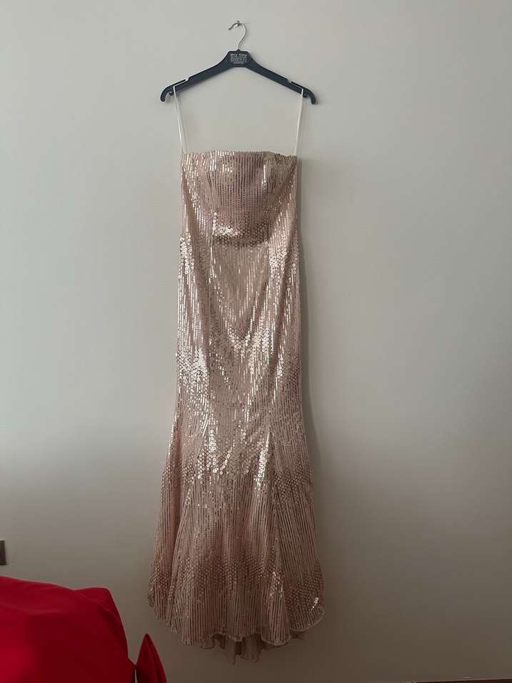 Pudra Parlak Pul Payet İşlemeli Uzun Straplez Abiye - Görsel 2