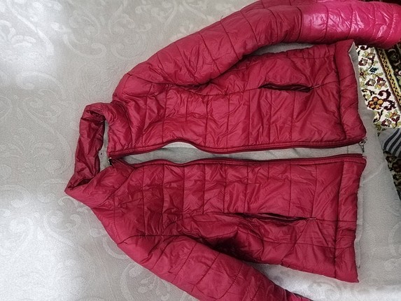  bordo mont