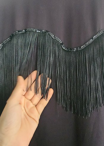 Püsküllü hasema - Görsel 5