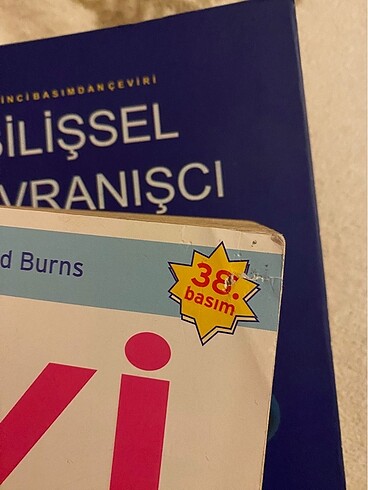 Beden Renk İyi Hissetmek ve Bilişsel Davranışçı Terapi