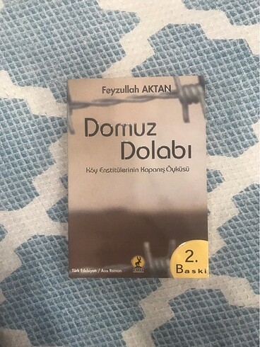 Domuz dolabı