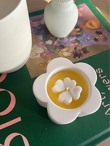 Diğer Daisy Soya mumu