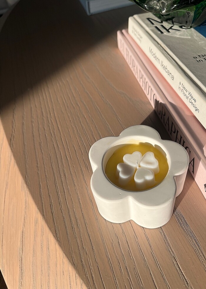 Daisy Soya mumu - Görsel 3