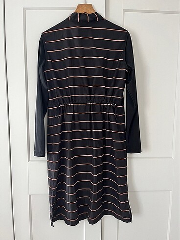 Uzun Çizgili Haşema - Görsel 6