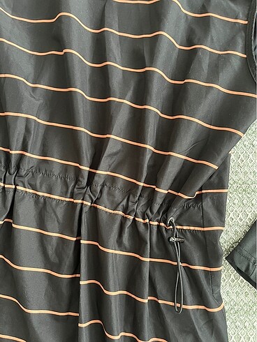 Uzun Çizgili Haşema - Görsel 7