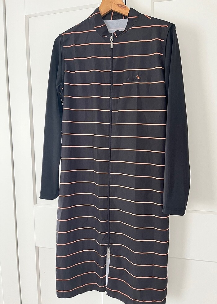 Uzun Çizgili Haşema - Görsel 4