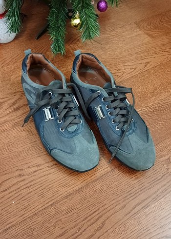 Alberto Guardiani 41