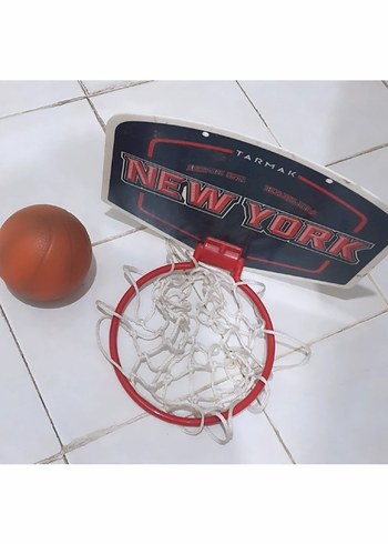 Tarmak Mini Basketbol Potası