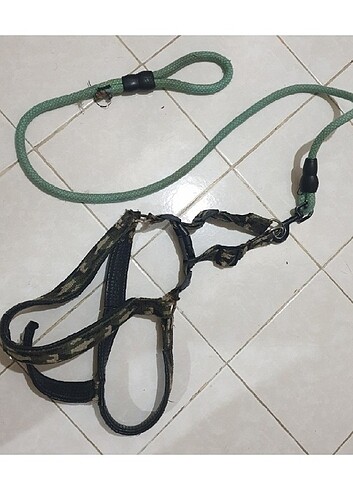 Köpek Gezdirme İpi ve Göğüs Tasması