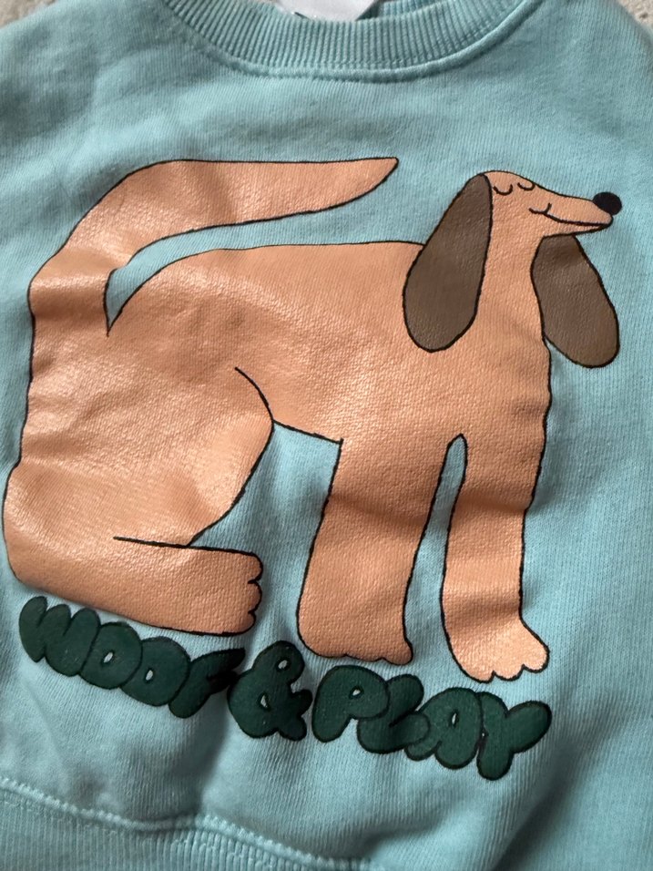 Pastel Baskılı Erkek Çocuk Sweatshirt - Görsel 2