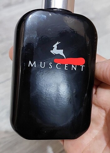 Muscent Parfüm,Hermes