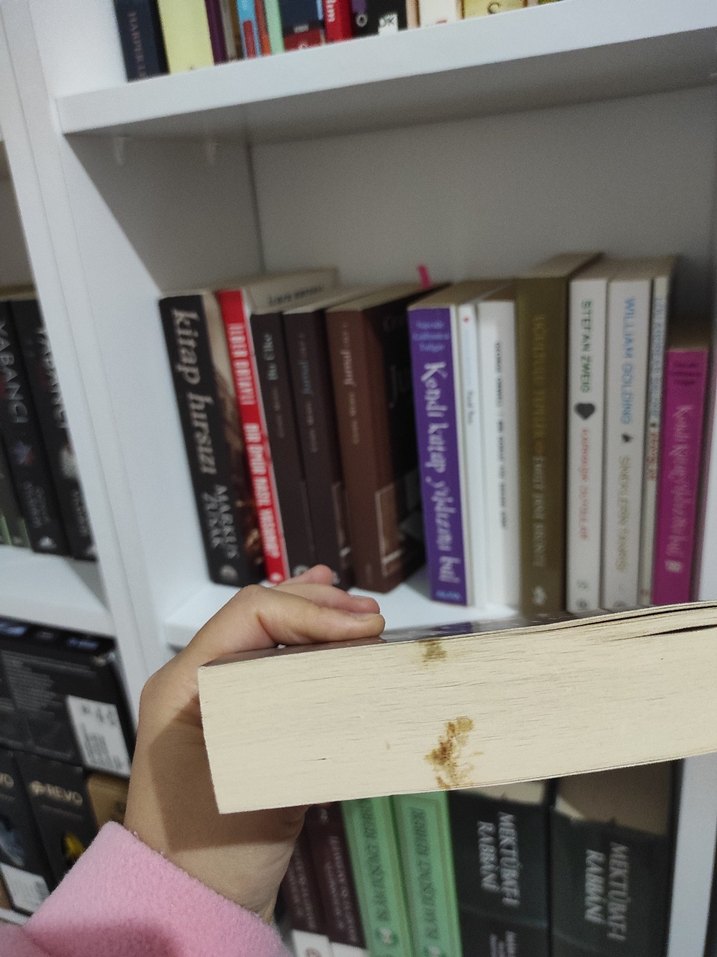 Cemil Meriç Jurnal - Görsel 3