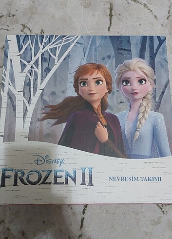 FROZEN LİSANSLI NEVRESİM TAKIMI 